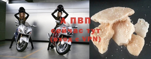 ГАЛЛЮЦИНОГЕННЫЕ ГРИБЫ Белокуриха