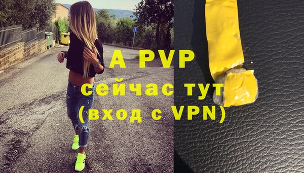 ГАЛЛЮЦИНОГЕННЫЕ ГРИБЫ Белокуриха