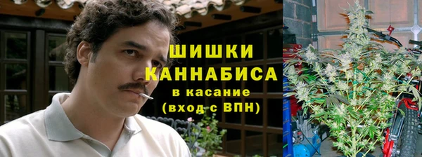ГАЛЛЮЦИНОГЕННЫЕ ГРИБЫ Белокуриха